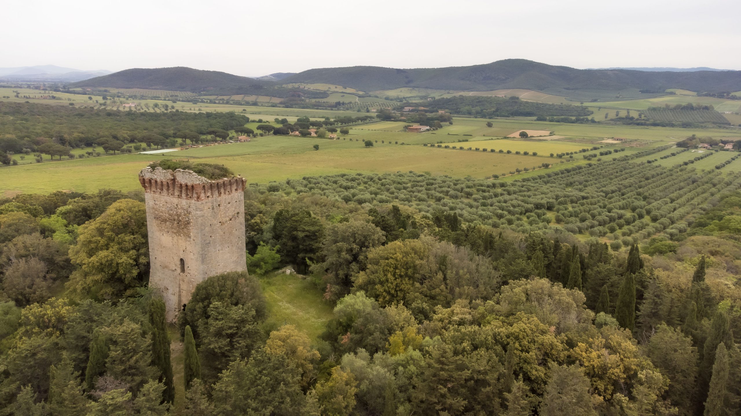 DJI_0002