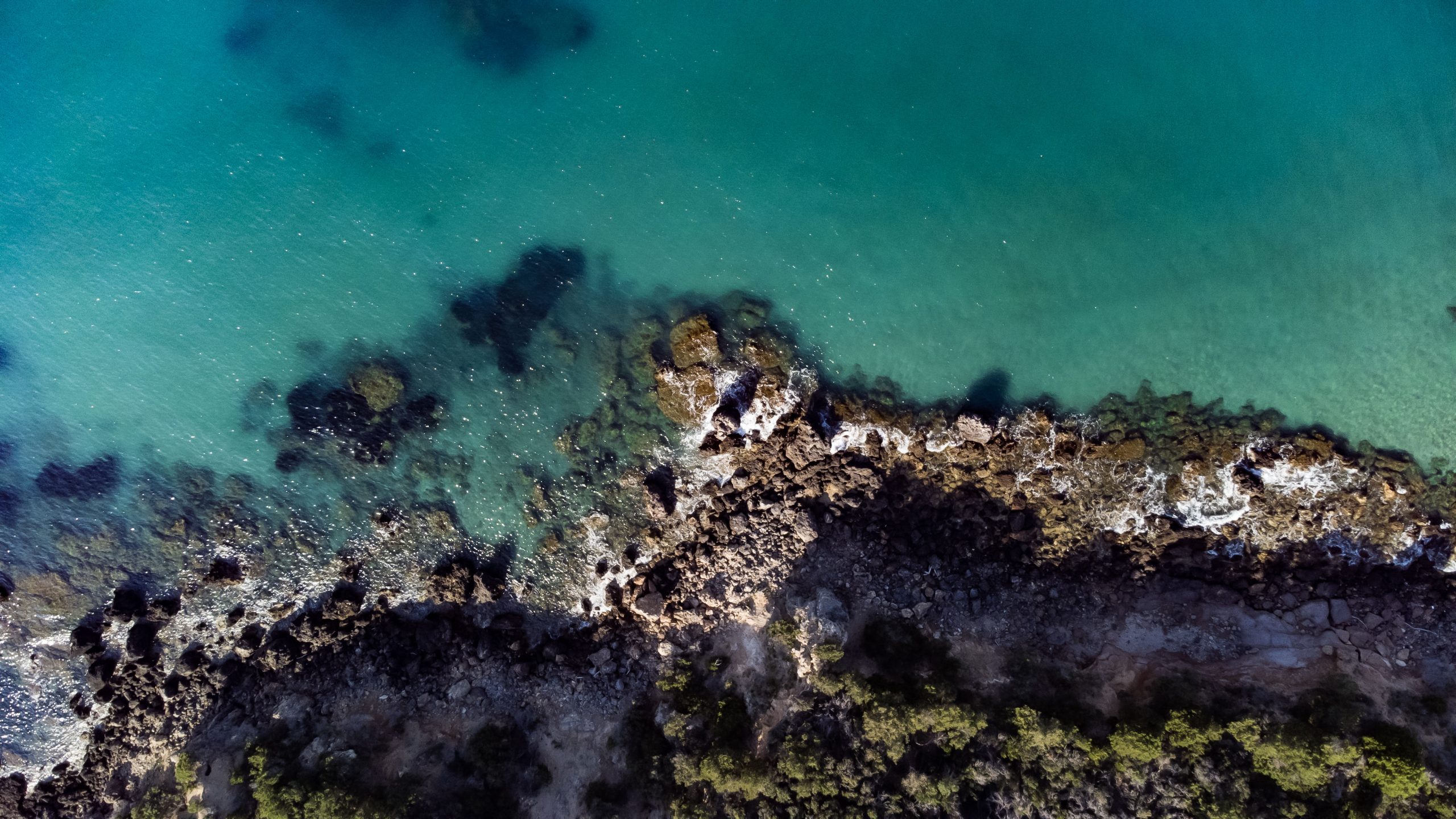 DJI_0117